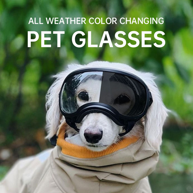 Snow Goggle Uv - แว่นตาสัตว์เลี้ยงเปลี่ยนสี แว่นตาสุนัข ขนาดแว่นกันแดดสุนัข แว่นตาสำหรับเล่นหิมะ แว่นกันแดดสุนัขป้องกันรังสียูวี